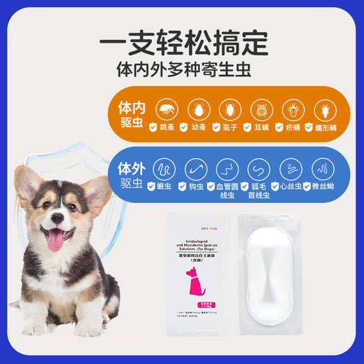 玲宠狗狗驱虫药体内外一体狗狗体外驱跳蚤耳螨玲宠吡虫啉莫昔克丁滴剂 商品图1