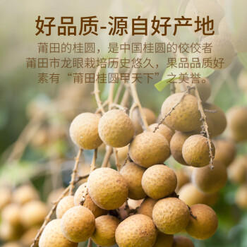 金唐莆田3A桂圆干500g 龙眼干带壳桂圆肉 莲子百合银耳羹煲汤甜羹食材 /粮油调味 /南北干货 /果茎食补干货 商品图5