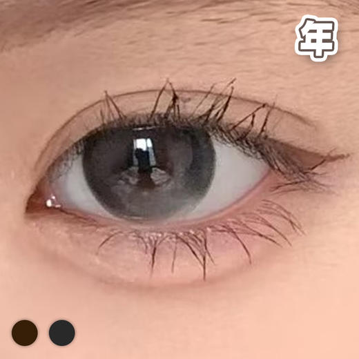 #Pure 乖乖牌 棕巧/黑灰 14.0mm【1片装】 舒适推荐 / 年抛 商品图0