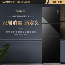 康宝（Canbo）多功能餐吧柜 250L家用碗筷消毒柜 立式消毒柜 冷藏保鲜 无菌储存 中温烘干 二星级高温消毒碗柜 二星级XDZ250-B1