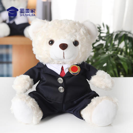【检察官熊】儿童毛绒公仔玩具不易掉毛小熊玩偶衣服可脱卸布娃娃摆件 商品图1
