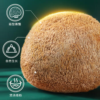 富昌 猴头菇150g 南北干货 山珍食用菌 菌菇榛蘑 炖汤煲汤食材 /粮油调味 /南北干货 /菌菇干货 商品图3