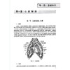 2023心电学技术 全国卫生专业技术资格考试指导 人卫版2023年医学中级职称心电主管技师资格考试用书考前复习必备 附考试大纲 商品缩略图3