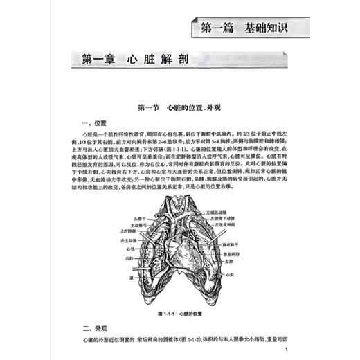 2023心电学技术 全国卫生专业技术资格考试指导 人卫版2023年医学中级职称心电主管技师资格考试用书考前复习必备 附考试大纲 商品图3