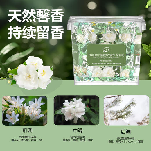 「19.9到手1大桶！五合一洗衣凝珠」山茶花洗衣凝珠桶装 五合一留香柔顺洗衣球去污浓缩洗衣液居家日用清洁工具 商品图2