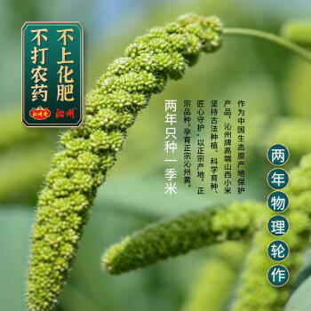 沁州黄小米1斤 真空装新米 山西特产 月子米 五谷杂粮粗粮 小米粥 /粮油调味 /杂粮 /谷米类 商品图6