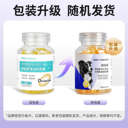 lanboto朗丽葆鱼油软胶囊宠物鱼油毛囊滋养犬猫通用鱼油60粒 商品图1