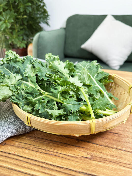 羽衣甘蓝小绿粉 有机冻干羽衣甘蓝粉+青汁 羽衣甘蓝非烘干 身材管理 维秘超模 商品图3