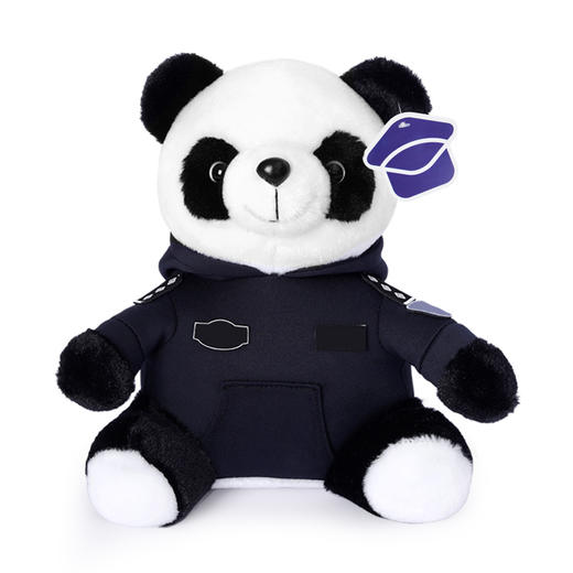 【熊宝（可定制）】可脱卸卫衣毛绒玩偶 儿童公仔布娃娃可定制礼品玩具摆件 商品图5