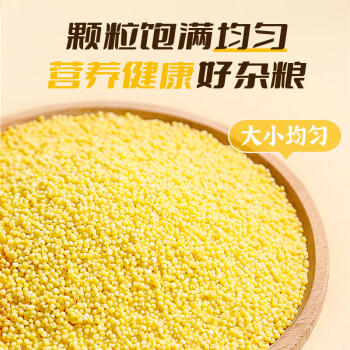 素养生活有机黄小米1斤 月子米 小米粥 小米 黄米 早餐熬粥 腊八粥米 /粮油调味 /杂粮 /谷米类 商品图2