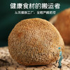富昌 猴头菇150g 南北干货 山珍食用菌 菌菇榛蘑 炖汤煲汤食材 /粮油调味 /南北干货 /菌菇干货 商品缩略图1
