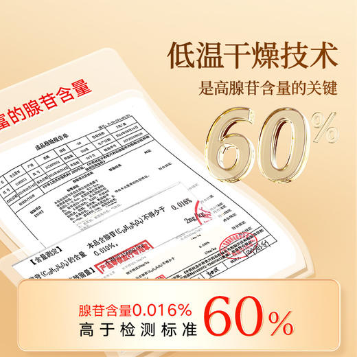 【正宗同仁堂品牌】北京同仁堂 青源堂-冬虫夏草0#-40/10克(DC) SY 商品图2