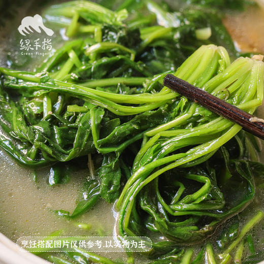 生态荠菜 | 绿家自产 * Eco-shepherd's purse | Self-production 商品图1