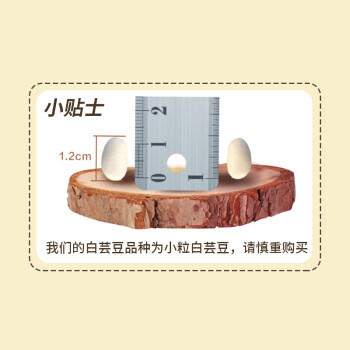 素养生活 有机白芸豆1.9斤/袋 东北小白芸豆 白腰豆菜豆饭豆 杂粮粗粮 /粮油调味 /杂粮 /其他杂粮 商品图5