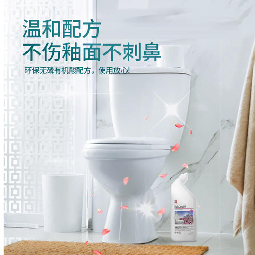 蔬果园英式花香洁厕灵液厕所马桶清洗剂厕所清洁神器强力除垢留香 商品图2