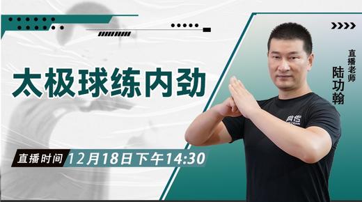 太极球练内劲 商品图0