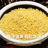 悦谷百味 黄小米2斤（五谷杂粮 食用小米粥 小黄米 粥米搭档 东北粗粮） /粮油调味 /杂粮 /谷米类 商品缩略图4