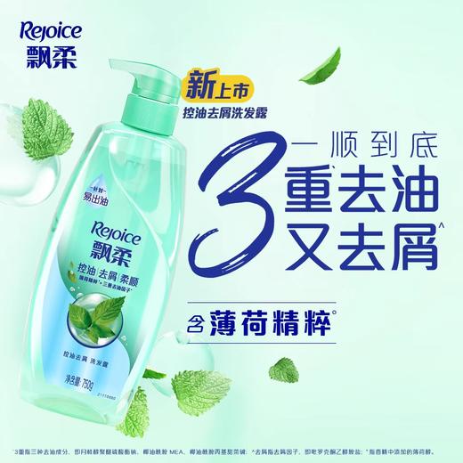 飘柔控油去屑柔顺洗发水 750g/瓶 商品图0