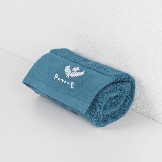 【全棉长绒棉毛巾】新疆长绒棉洗脸洗澡毛巾 3秒迅速吸水家用面巾 商品图3