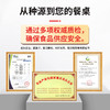 【原生态放养  自寻觅食】天农清远鸡  皮爽肉滑  肉质鲜嫩细腻 商品缩略图4