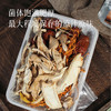 食养节【任意两袋送一袋！】【松茸菌菇汤】甄选云南地道山珍 原汁原味的鲜美 滋补养生佳品～湖州仓 商品缩略图3
