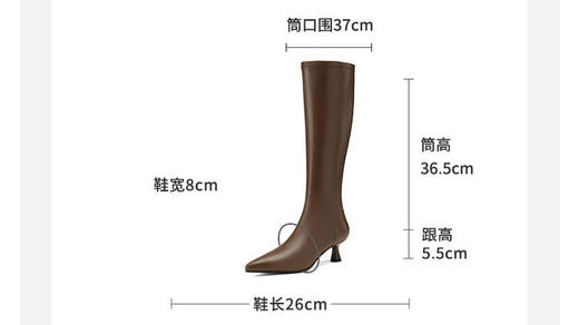 westory2024年秋冬新款优雅风细高跟百搭时装高靴W24DQ84421 商品图6