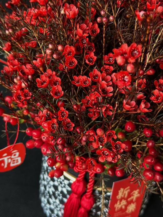 新年年宵花 切枝腊梅 预售 2025年一月一号送达。需要提前下单。 商品图1