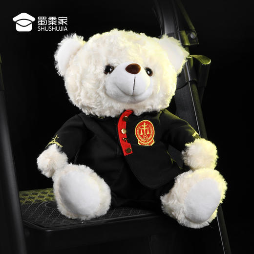 【法官熊】儿童毛绒公仔玩具 精致小熊玩偶布娃娃摆件 商品图8