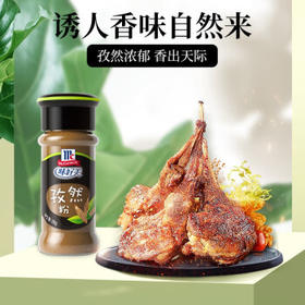 味好美（McCormicK）香辛料调料 孜然粉 28g 玻璃瓶装 烧烤烹饪调味料 百年品牌 /粮油调味 /调味品 /基础香辛料