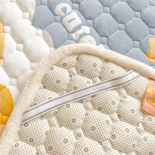 牛奶绒加厚床褥子 商品图5