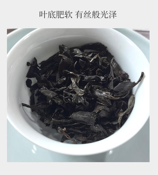 武夷核心正岩 百瑞香 荔枝木碳焙 6泡*8.3克 约50克 商品图5