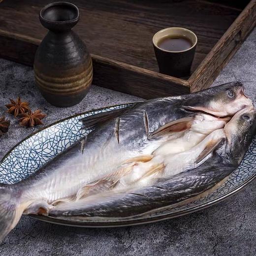 开背鱼/条 商品图0