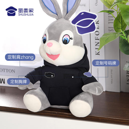 【卫小兔（可定制）】可定制小兔毛绒玩偶礼品礼物 可爱公仔布娃娃 商品图1