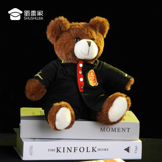 【法官熊】儿童毛绒公仔玩具 精致小熊玩偶布娃娃摆件 商品图7