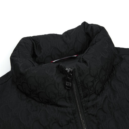 【断码清仓】HX 冬季短款立领羽绒服轻奢款式Y100440014101 商品图2