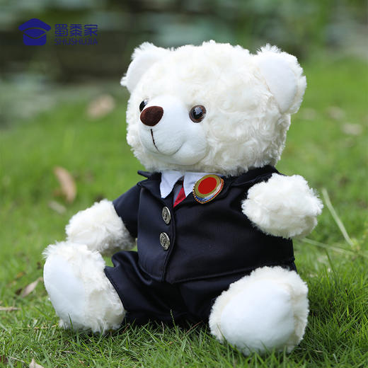 【检察官熊】儿童毛绒公仔玩具不易掉毛小熊玩偶衣服可脱卸布娃娃摆件 商品图4