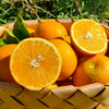 【顺丰快递】湖南麻阳冰糖橙 新鲜现摘果冻橙冰糖橙  应当季水果 CHN 商品缩略图4