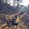 有机黑山羊｜满150元包邮｜周五发 商品缩略图6