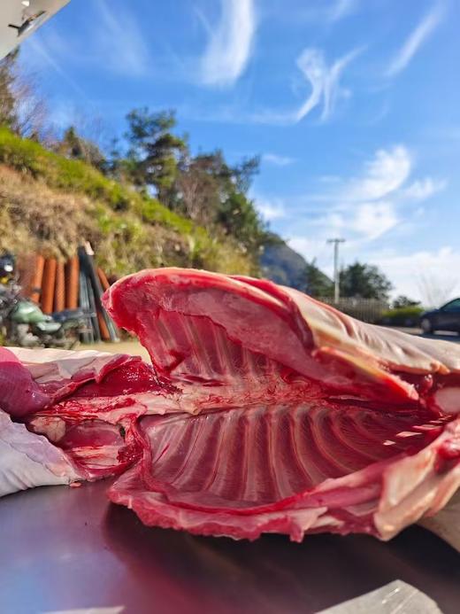 有机黑山羊｜满150元包邮｜周五发 商品图10