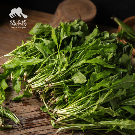 生态荠菜 | 绿家自产 * Eco-shepherd's purse | Self-production 商品图0