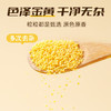 素养生活有机黄小米1斤 月子米 小米粥 小米 黄米 早餐熬粥 腊八粥米 /粮油调味 /杂粮 /谷米类 商品缩略图1