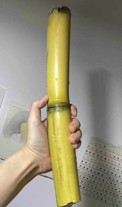云南黄金甘蔗 商品图3