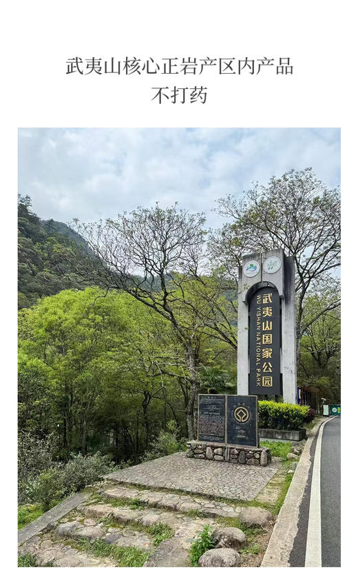 武夷核心正岩 百瑞香 荔枝木碳焙 6泡*8.3克 约50克 商品图6