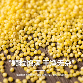 悦谷百味 黄小米2斤（五谷杂粮 食用小米粥 小黄米 粥米搭档 东北粗粮） /粮油调味 /杂粮 /谷米类 商品图5