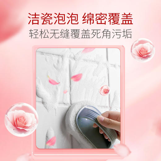 蔬果园维多利亚玫瑰精油泡泡洗手液+蔬果园洁瓷泡泡 商品图4