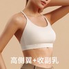 【147元任选3件】跃牌【蚂蚁运动】系列 运动内衣女高度防震防下垂瑜伽背心X1337（活动产品，收货7天内支持退换） 商品缩略图1