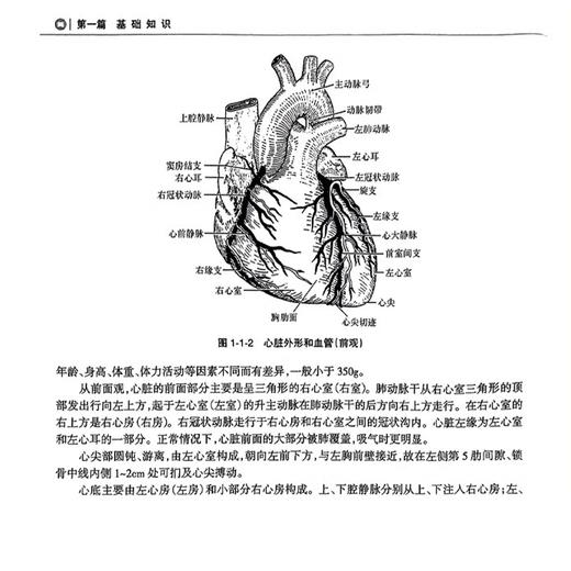 2023心电学技术 全国卫生专业技术资格考试指导 人卫版2023年医学中级职称心电主管技师资格考试用书考前复习必备 附考试大纲 商品图4
