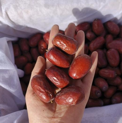 和田玉枣（新疆和田224团） 商品图2