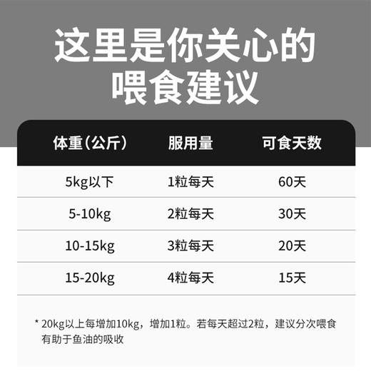 lanboto朗丽葆鱼油软胶囊宠物鱼油毛囊滋养犬猫通用鱼油60粒 商品图3