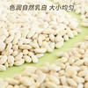 素养生活 有机白芸豆1.9斤/袋 东北小白芸豆 白腰豆菜豆饭豆 杂粮粗粮 /粮油调味 /杂粮 /其他杂粮 商品缩略图2